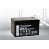 Batería Qbatteries 12LS-12 Agm Standard. Tecnología AGM. 12V - 12Ah (151x98x95mm)