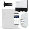 Kit inversor híbrido Growatt SPH 3000 3kW con bateria 10.24 kWh